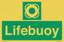 lifebuoy-with-symbol~
